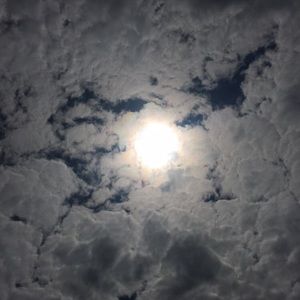 Meet your Posher, Dominic